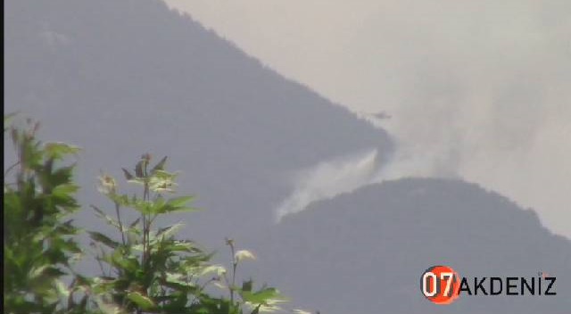 Antalya Toroslar Düzlerçamı Orman Yangını 